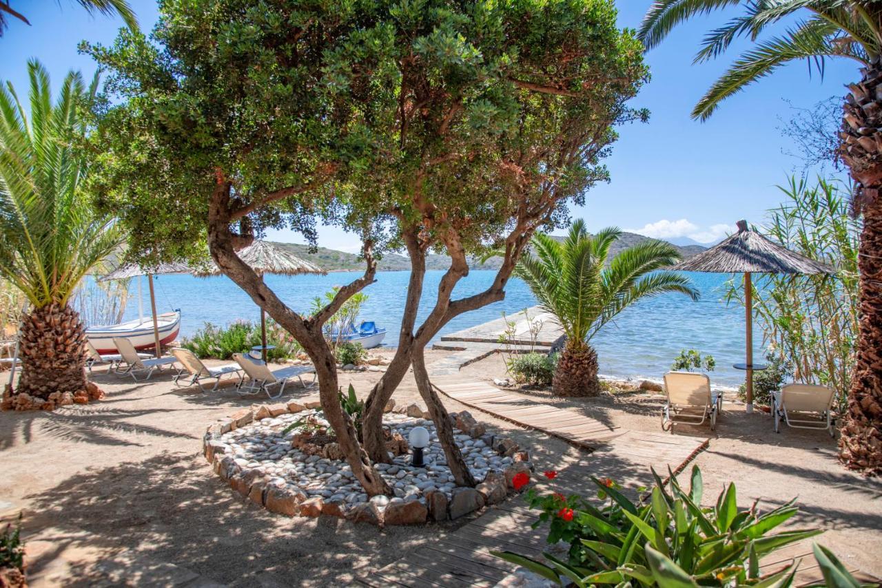 Tsifliki Beach House 伊罗达 外观 照片